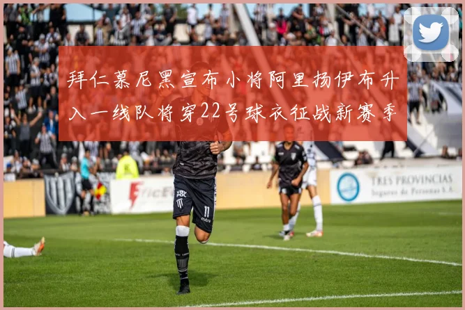 拜仁慕尼黑宣布小将阿里扬伊布升入一线队将穿22号球衣征战新赛季